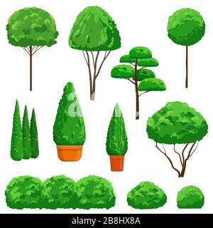 Ornamental shrubs and trees on white background Stock Vector