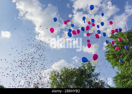 Multicolored balloons and confetti released in the blue sky against  background of trees. Festive action Stock Photo