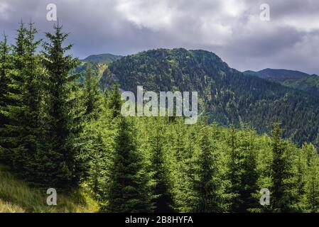 Rodna Mountains near Borsa resort in Maramures County of northern Romania Stock Photo