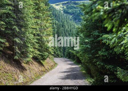 Trail to Cascada Cailor - Horses Waterfall in Rodna National Park near Borsa resort in Rodna Mountains, Northern Romania Stock Photo