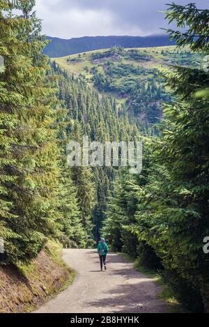 Tourist on a trail to Cascada Cailor - Horses Waterfall in Rodna National Park near Borsa resort in Rodna Mountains, Northern Romania Stock Photo