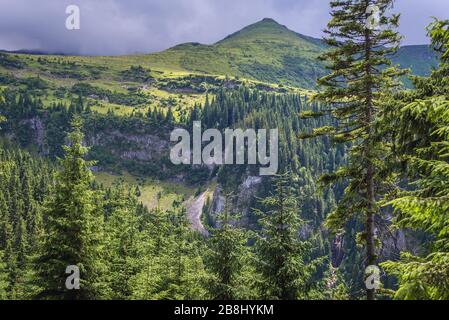 View from trail to Cascada Cailor - Horses Waterfall in Rodna National Park near Borsa resort in Rodna Mountains in northern Romania Stock Photo