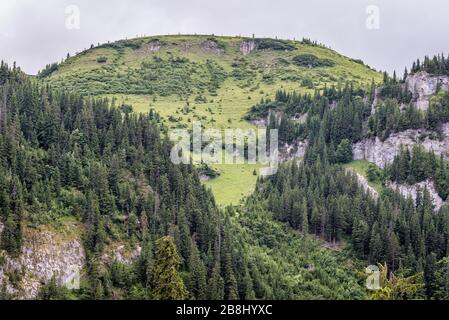 View from trail to Cascada Cailor - Horses Waterfall in Rodna National Park near Borsa resort in Rodna Mountains in northern Romania Stock Photo