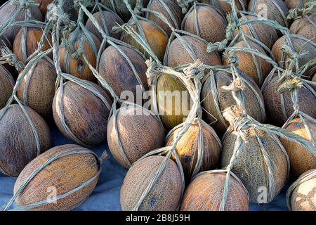 Melons on sale at Street Market, Khiva, Uzbekistan Stock Photo
