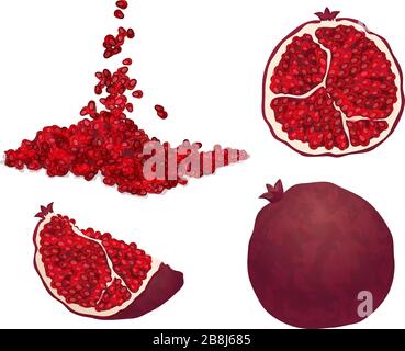 Pomegranate icons set. Cartoon set of pomegranate vector icons for web design Stock Vector