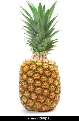 Pineapple isolated on the white background. Stock Photo