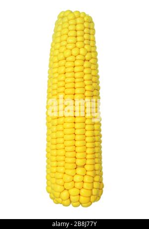 Cooked corn cob sweetcorn isolated on white background Stock Photo