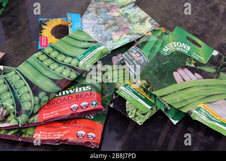 A selection of vegetable seed packets lying on table in UK Spring 2020, Broad beans, Peas, Mange tout, Runner beans Stock Photo