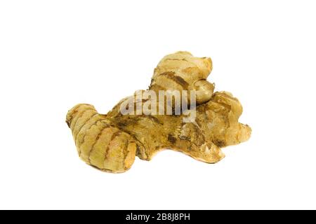 Fresh ginger root rhizome isolated on white background Stock Photo