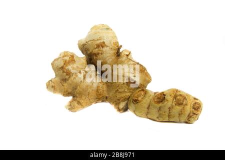 Fresh ginger root rhizome isolated on white background Stock Photo