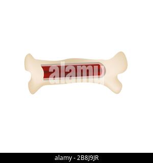 Bone Cell on White Background illustration Stock Vector Image & Art - Alamy