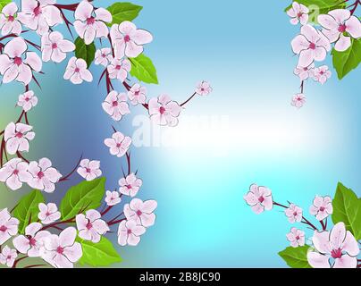 Cherry blossom pattern. Modern abstract pink sakura design template on blue backdrop. Vintage japanese vector template with pink the sakura flowers on Stock Vector