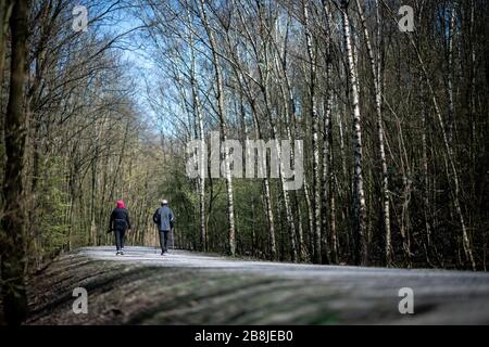 Bottrop, Germany. 22nd Mar, 2020. Two women are walking through the forest of the slagheap Bottrop. The local recreation areas of the Ruhr area are still visited despite the pandemic. Credit: Fabian Strauch/dpa/Alamy Live News Stock Photo