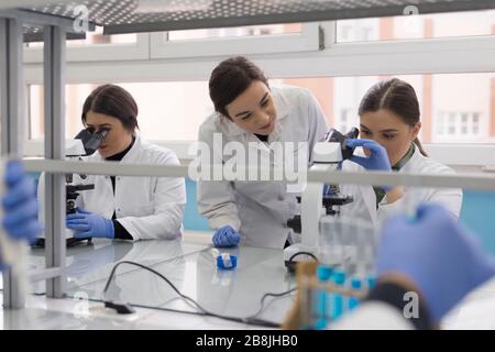 A group of scientists conducts research in a scientific laboratory using advanced technology. COVID-19. COVID Coronavirus Stock Photo
