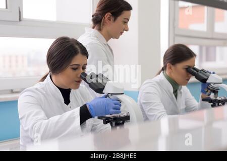 A group of scientists conducts research in a scientific laboratory using advanced technology. COVID-19. COVID Coronavirus Stock Photo