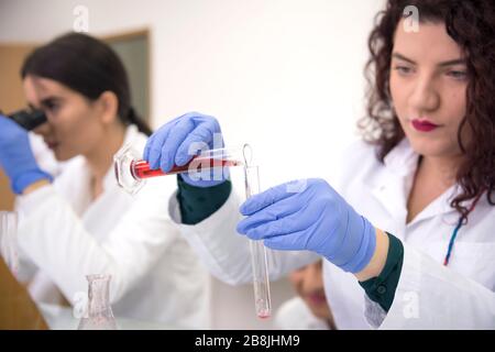A group of scientists conducts research in a scientific laboratory using advanced technology. COVID-19. COVID Coronavirus Stock Photo