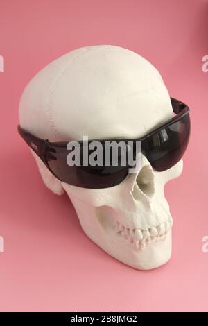 White human gypsum skull with black sunglasses on a pink background. Stock Photo