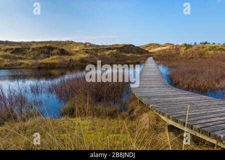 Wooden footpath through the dunes of German North Sea island Amrum crossing a pond near the village of Wittdün Stock Photo