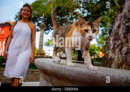 A young female tourist exploring the streets of Malacca, the popular historic town on Malaysia's west coast Stock Photo