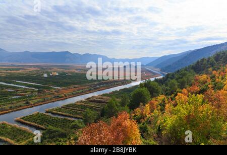 Orchards and fields in the delta of the river Neretva, near the Opuzen city. Dalmatia, Croatia Stock Photo