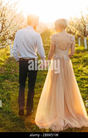 Back full length portrait of luxury happy wedding couple holding hands and walking gorgeous bride in pink dress tender romantic moment at spring Stock Photo Alamy