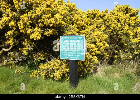 Ayrshire Coastal Path - Golf Etiquette sign on  path adjacent to Turnberry Golf Course near Maybole in Ayrshire, Scotland. Against bright yellow gorse Stock Photo