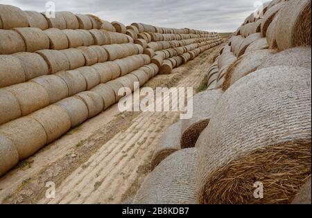 hay bales in the farm Stock Photo