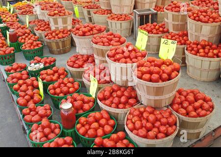 Tomatos on sale in the Jean Talon Market in Montreal, Canada Stock Photo