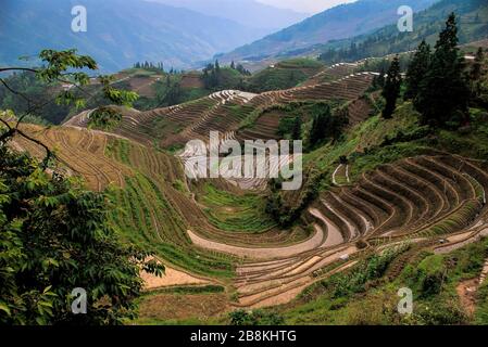 Rice terraces wrap around steep mountain slopes at Long Ji north of Guilin, China Stock Photo