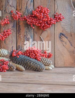 Branch of red viburnum guelder rose berries and spruce cones on wooden background Stock Photo