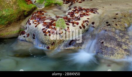 The beautiful color of the Urederra river. Navarra, Spain Stock Photo