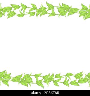 Horizontal seamless vector border or frame of green leaves and stems isolated on white background. Seamless pattern of interwoven ivy branches for Stock Vector