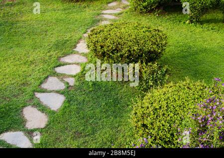 Stone path in garden among green lawn. Grass growing up between and around stones. Stock Photo