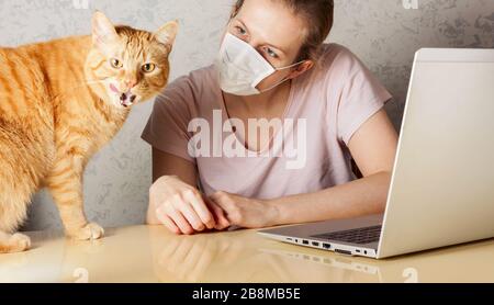 Work from home during outbreak of the COVID-19 virus. People work at home to prevent virus infection.  Woman working on the kitchen table near a cat Stock Photo