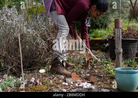 Young woman stooping and raking leaves in flowerbed with handmade stone mounds in spring. Freshen up the garden. Side view. Stock Photo