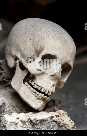 Skull and skeletal remains of a victim of the AD 79 Vesuvius eruption, Herculaneum, Campania, Italy. Stock Photo