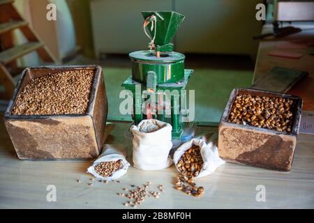 Shop and old water driven mill where toasted corn is ground to make a flour called gofio in a traditional manner in La Orotava, Tenerife Island, Canar Stock Photo