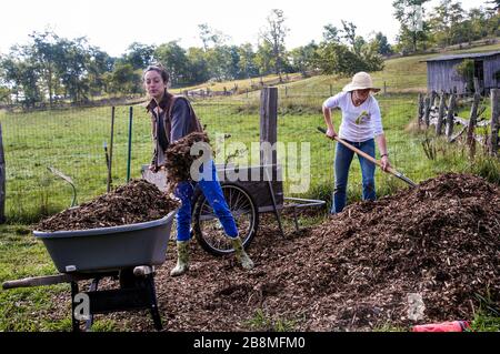 Farm Interns from Allegheny Mt. School, Virginia Stock Photo