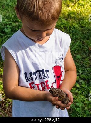 Young boy holding frog Stock Photo