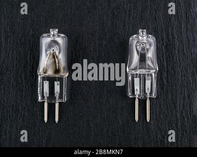 Two small halogen bulbs on a black background: one new and one burned out. gx6.35 bipin bulb for pilot light of photo studio monoblock flash light. Stock Photo