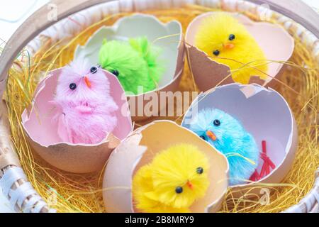 Easter eggs in the basket, Chickens in the eggs, Easter eggs, Happy easter card, Easter background Stock Photo