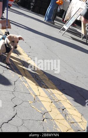 Farmer's Market, Mar Vista, CA Stock Photo