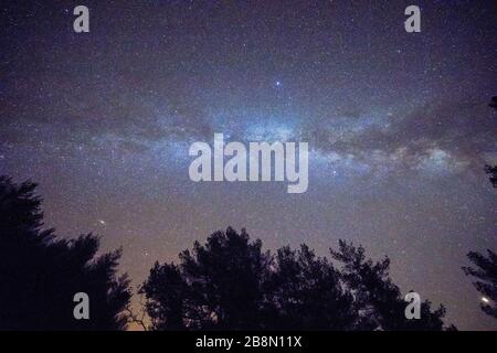 Starry sky with Milky way seen from mountain through trees in forest Stock Photo