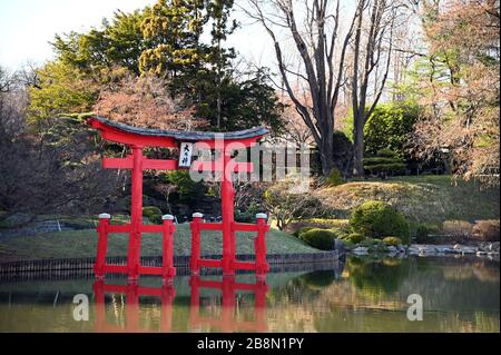 Japanese Hill and Pond - Brooklyn Botanical Garden Stock Photo