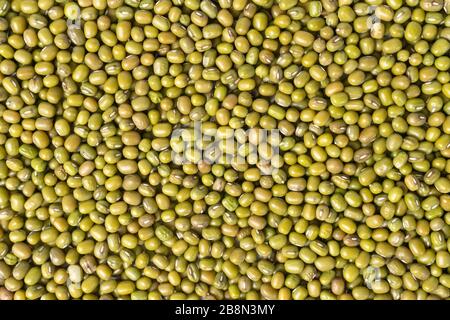 Green mung bean close-up. Abstract background, asian food Stock Photo