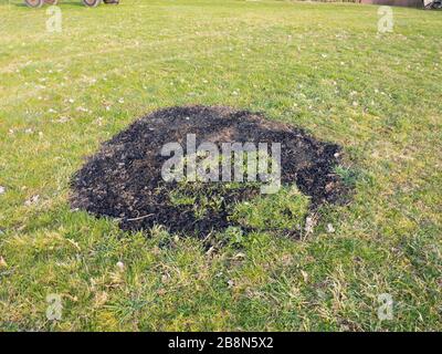 Black burnt circle in fresh green grass. Place in the garden after burning of waste Stock Photo