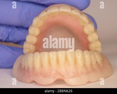 Complete acrylic dental prosthesis with metal retaining base. Stock Photo