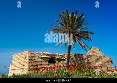 Caesarea National Park, Israel, Middle East. Stock Photo