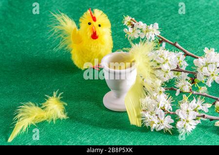 Blooming branch of fruit tree, little yellow toy chicken, yellow fethers and egg cup on the green background closeup. Happy easter time. Stock Photo