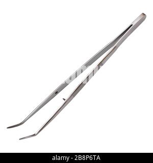 Curved metal tweezers for the dentist. Hand metal tool. Health and medicine. Realistic isolated object on white background. Vector illustrations. Stock Vector